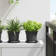 vidaXL Rund Blomkruka 24 pcs Svart Ø 15 x 12 cm Plast