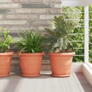 vidaXL Rund Blomkruka 24 pcs Murgrön Ø 26 x 21.5 cm Plast