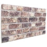 vidaXL Väggpaneler 10 pcs Mörkbrun 100 x 50 cm EPS Skum