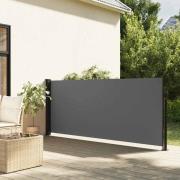 vidaXL Utdragbar sidomarkis antracit 100x300 cm