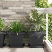 vidaXL Fyrkantig Blomkruka 24 pcs Svart 36 x 36 x 2.5 cm Plast