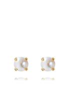 Caroline Svedbom Classic Stud Earring Guld