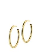 Edblad Hoops Earrings Medium Guld