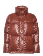 GANT D1. Cropped Down Jacket Brun