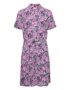 Fabienne Chapot Chichi Dress Rosa