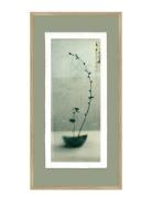 Artist Paper - Growing Home Decoration Posters & Frames Posters Botani...