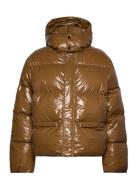 H2O Fagerholt Golden Hour Jacket Brun