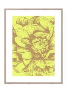 In Full Bloom Home Decoration Posters & Frames Posters Botanical Yello...
