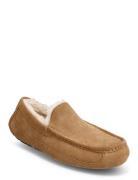 UGG M Ascot Beige