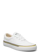 Polo Ralph Lauren Logo Cotton Canvas Sneaker Vit