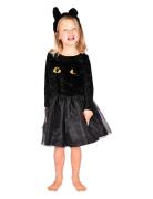 Cat Dress Toys Costumes & Accessories Character Costumes Black Den God...