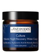 Antipodes Culture Probiotic Night Cream Nude