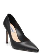 Steve Madden Evelyn-E Pump Svart