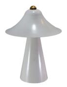 Day Table Lamp Champ Home Lighting Lamps Table Lamps Cream DAY Home