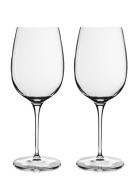Rødvinsglas Ricco Vinoteque 59 Cl 2 Stk. Klar Home Tableware Glass Win...