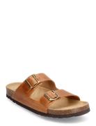 Scholl Sl Julien Leather Brun