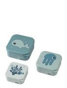 Snack Box Set 3 Pcs Sea Friends Home Meal Time Lunch Boxes Blue D By D...