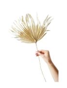 Paper Flower, Palm Home Decoration Paper Flowers Beige Studio About