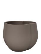 Cooee Design Clover Flower Pot 12Cm Beige