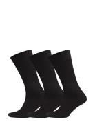 Claudio Claudio Socks Tennis 3-Pack Svart