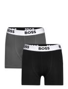 BOSS Boxer Multi/patterned