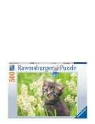 Ravensburger Kitten In The Meadow 500P Multi/patterned