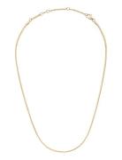 Daniel Wellington Elan Flat Chain Necklace Short G Guld