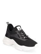 Steve Madden Match-E Sneaker Svart