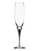 Intermezzo Blue Champagne 26Cl Home Tableware Glass Champagne Glass Nu...