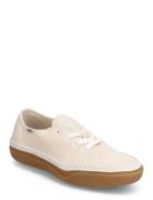 VANS Ua Circle Vee