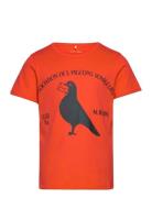 Mini Rodini Pigeons Sp Ss Tee Orange