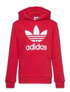 Adidas Originals Trefoil Hoodie Röd