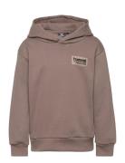 Hummel Hmldare Hoodie Brun