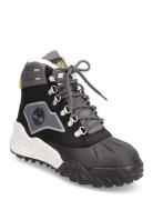 Timberland Moriah Range Hiker Wp Ins Svart