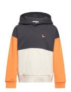 Tom Tailor Colorblock Over D Hoody Multi/patterned