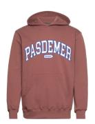 Pas De Mer Pasdemer Design Hoody Brun