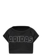 Adidas Performance Jg Crpd T Svart