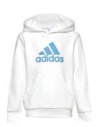 Adidas Performance Big Logo Essentials Cotton Hoodie Vit