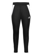 Adidas Performance Tiro24 Trpnt Svart