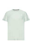 Adidas Performance Otr B Tee Grön