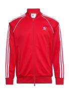 Adidas Originals Sst Tt Röd