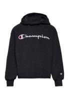 Champion Hooded Sweatshirt Svart