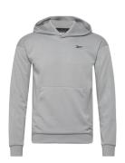 Reebok Classics Strength Hoodie 2.0 Grå