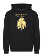 Stan Ray Rare Plants Hood Svart