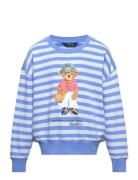 Ralph Lauren Kids Polo Bear French Terry Sweatshirt Blå