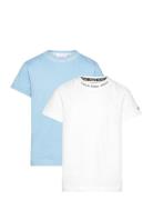 Calvin Klein Intarsia 2-Pack Ss T-Shirt Multi/patterned