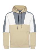 Champion Hooded Sweatshirt Beige