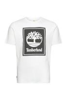 Timberland Short Sleeve Tee Vit