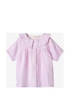 Fliink Ciao Stripe Ss Shirt Rosa