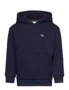 Lacoste Sweatshirts Marinblå